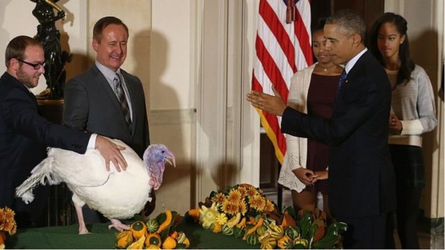 pardon turkey