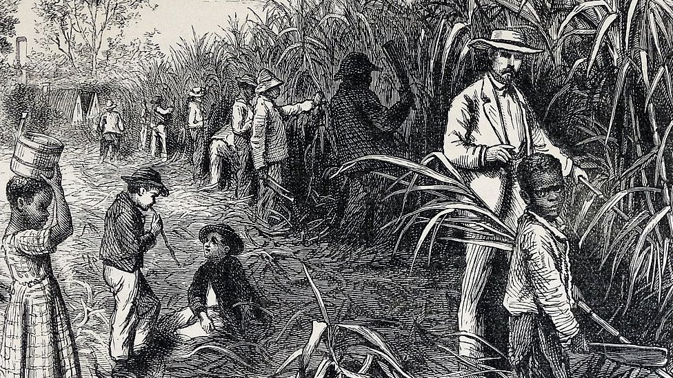 Grabado sobre corte de caña de azúcar en la Cuba colonial.