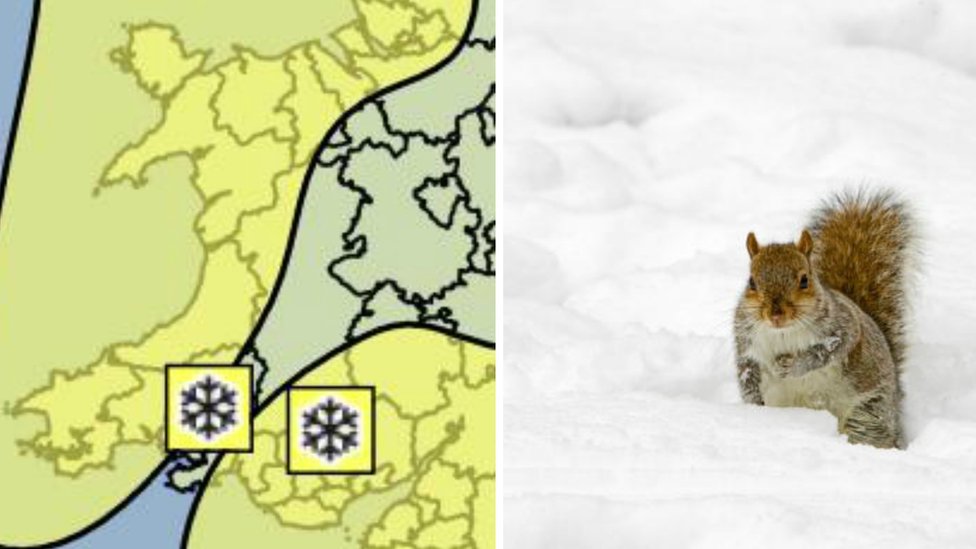 Rhybudd am stormydd eira ar draws Cymru ddydd Iau BBC Cymru Fyw