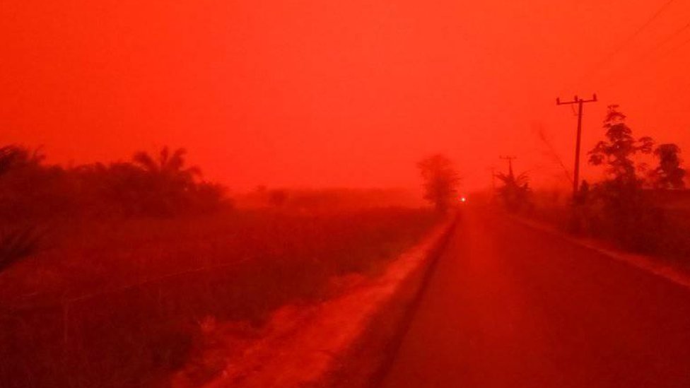 vogn Maori Pris Indonesia haze causes sky to turn blood red - BBC News