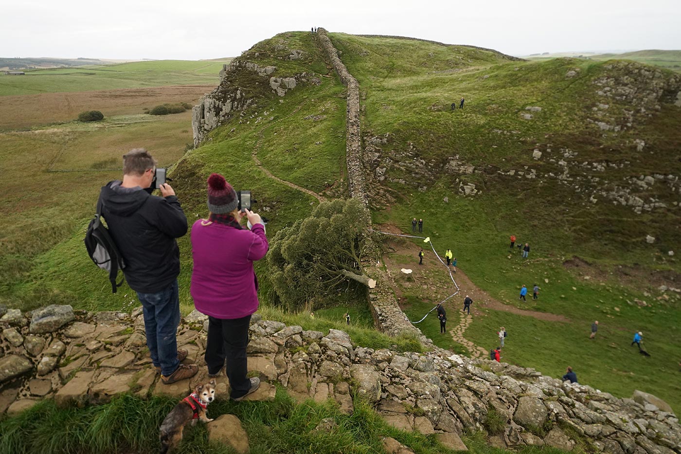 Members of the public take photos of the tree at Sycamore Gap