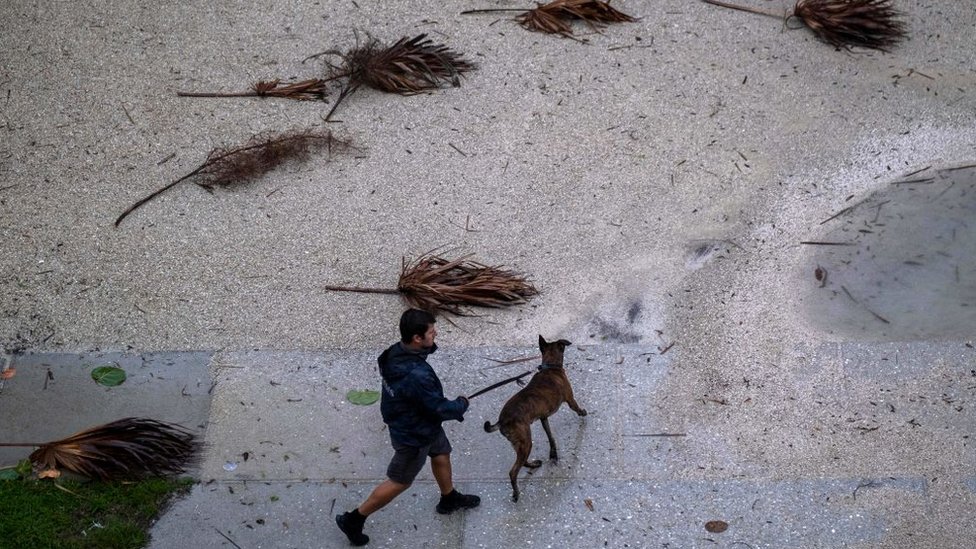 Una persona pasea con su perro en una playa en Florida