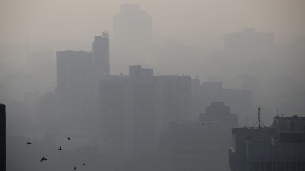 птицы летают по утрам, когда здания покрыты смогом в Нью-Дели, Индия