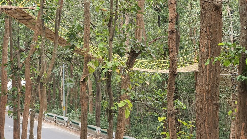 Мост для животных в штате Уттаракханд