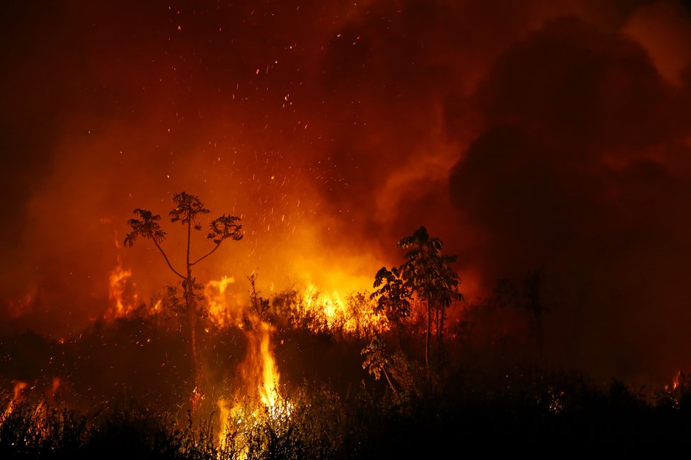 A forest fire in the Pantanal