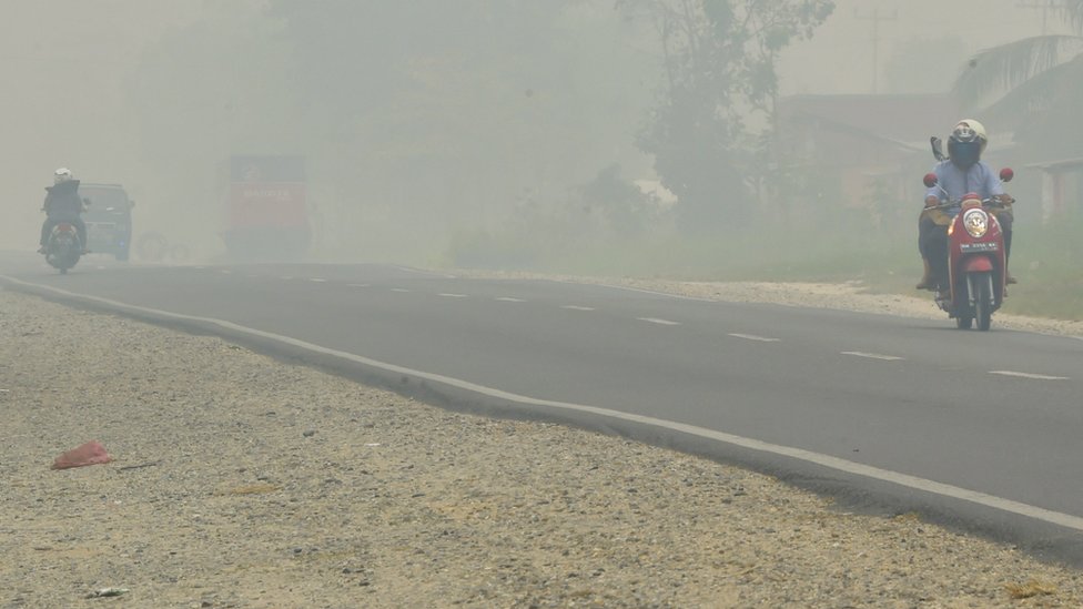 Автомобилисты едут по улице, пока туман окутывает территорию в Пеканбару, провинция Риау, 14 сентября 2015 года.