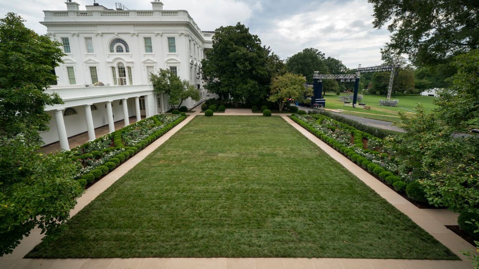 Розовый сад Белого дома
