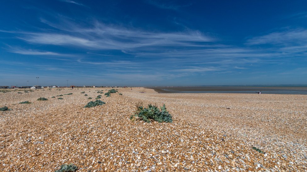 Dungeness beach: 'Britain's only desert' bought by EDF - BBC News