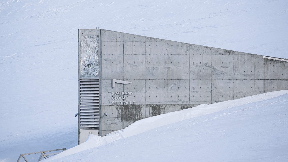 Instalaciones del banco de semillas de Svalbard en la nieve