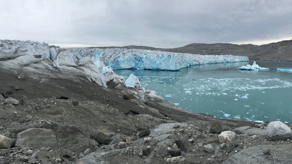 Grönland buzul