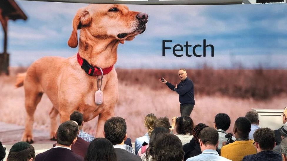 Amazon Fetch