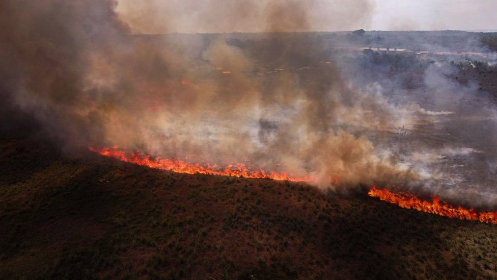 亞馬遜雨林於田野的混合區域正在燃燒，而附近的居民則試圖控制火勢（馬瑙斯，2023年10月4日資料照片）