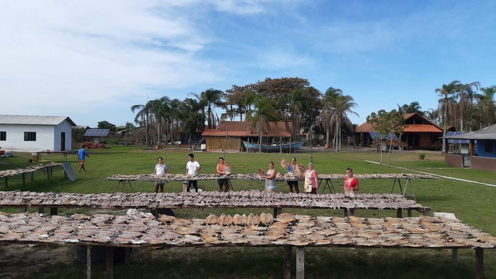 Moradores da Ilha do Cardoso, no litoral sul de São Paulo, produzem o peixe seco para doação a comunidades pobres
