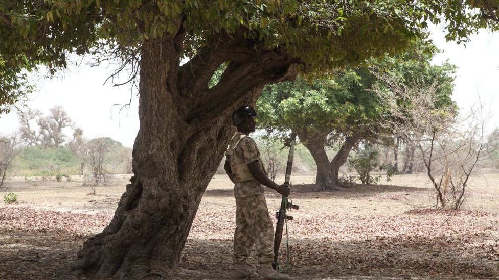 Un soldado hace guardia debajo de un árbol en Borno, Nigeria, 2017.