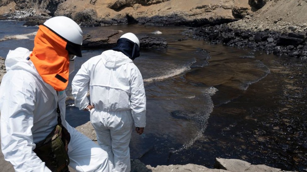 A cleaning group looks at the coast of Peru before an oil spill