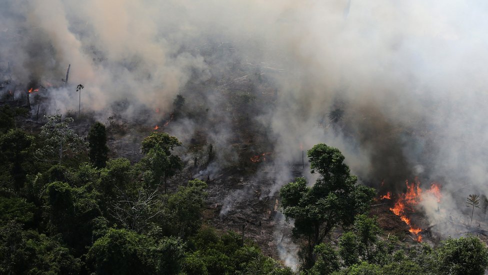 Un incendio en la Amazonía