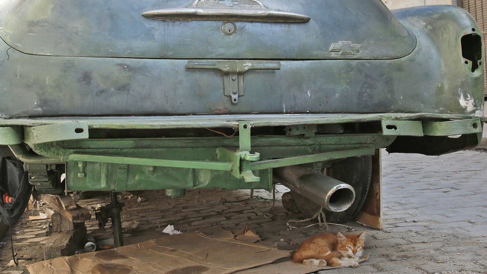 Кот сидит под автомобилем в Старой Гаване, Куба