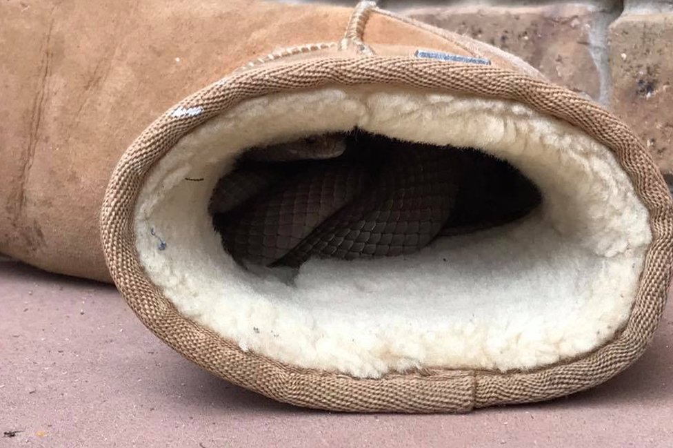 what are the inside of uggs made of