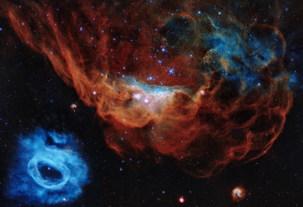 La nebulosa gigante NGC 2014 y su vecina NGC 2020