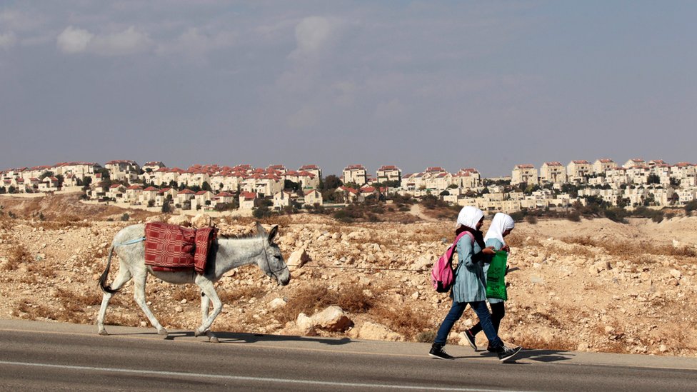 Палестинские школьницы гуляют с ослами на фоне еврейского поселения Маале-Адумим на Западном берегу, недалеко от Иерусалима, 13 ноября 2013 г.