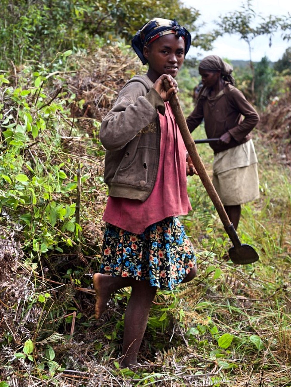 Жители села заняты на проектах по восстановлению лесов