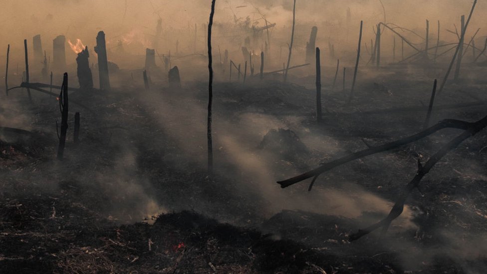 A peat land fire is seen at Rumbai Pesisir village Pekanbaru, Riau, Indonesia