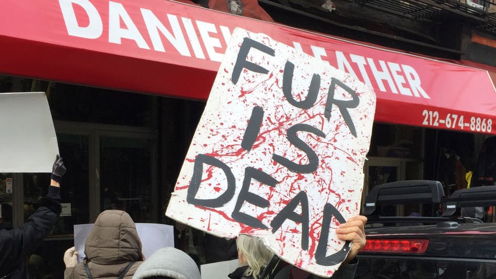 Мужчина держит знак протеста «Мех мертв»