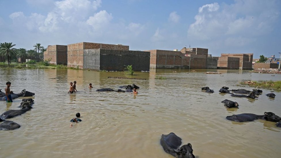 السلطات الباكستانية تكافح لمنع غمر ضفاف أكبر بحيرة في البلاد