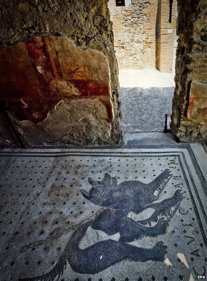 Pompeii Guard Dog Mosaic Back On Show c News