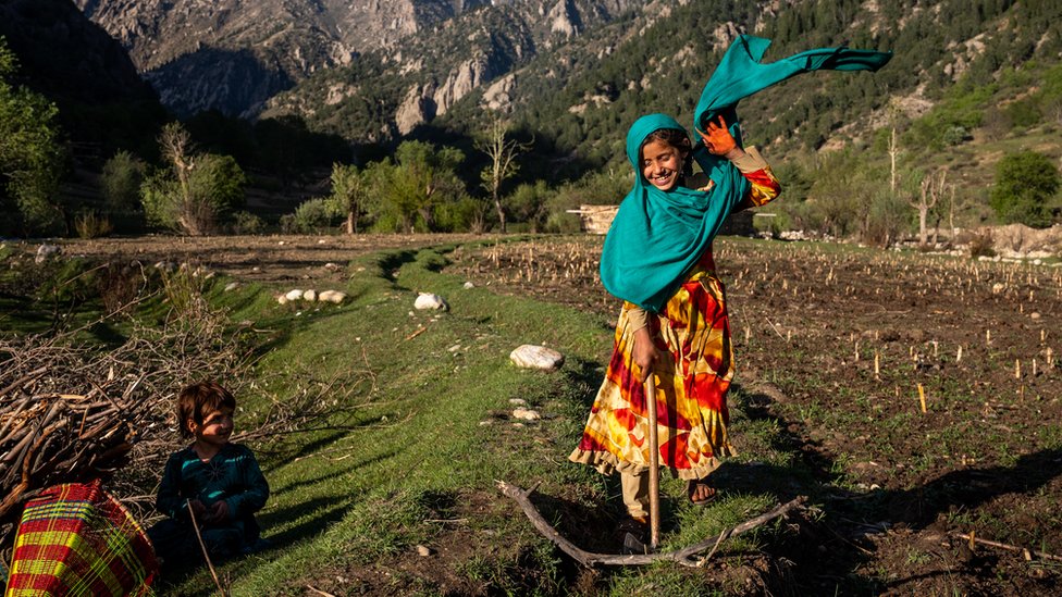 Seorang anak perempuan berusia 8 tahun memotong kayu bersama keluarganya di Provinsi Nuristan.