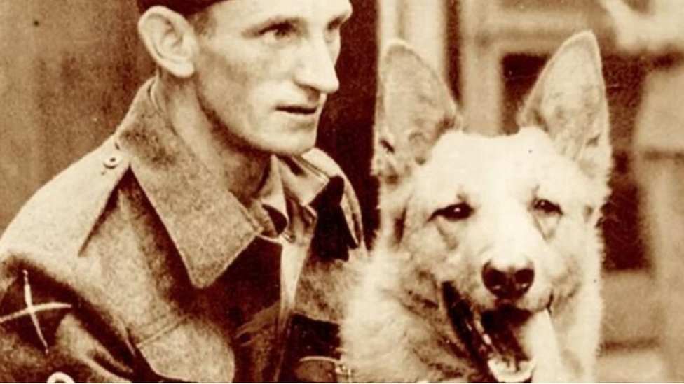 Хан, немецкая овчарка, служившая в британской армии во время Второй мировой войны со своим наставником Джимми Малдуном
