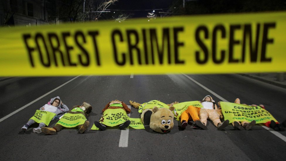 Активисты в костюмах животных лежат на дороге перед фальшивой полицейской лентой с надписью «Место преступления в лесу»