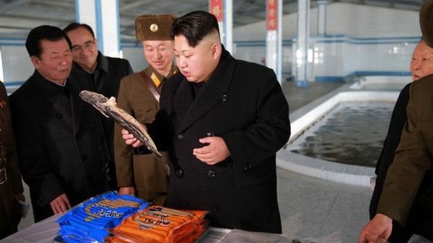 La promoción es vista como evidencia de la consolidación de los Kim en el poder. Kim Jong-un