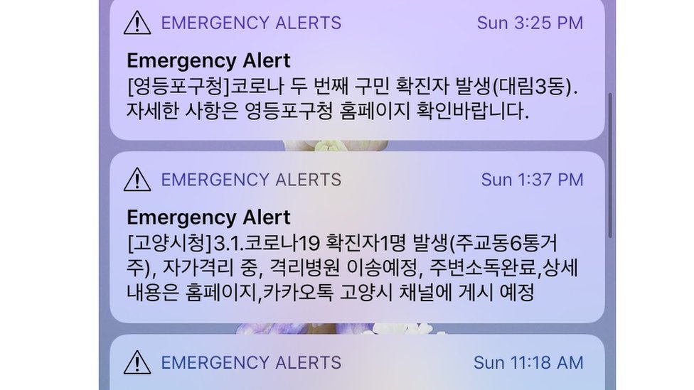 Примеры сообщений, которые получают корейцы, предупреждая их о новых случаях