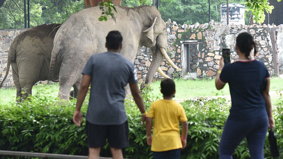 Zoološki vrt u Delhiju