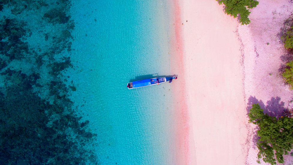La playa rosada en Komodo
