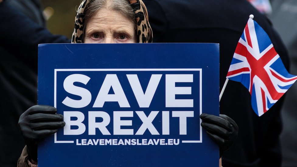 Partidaria del Brexit