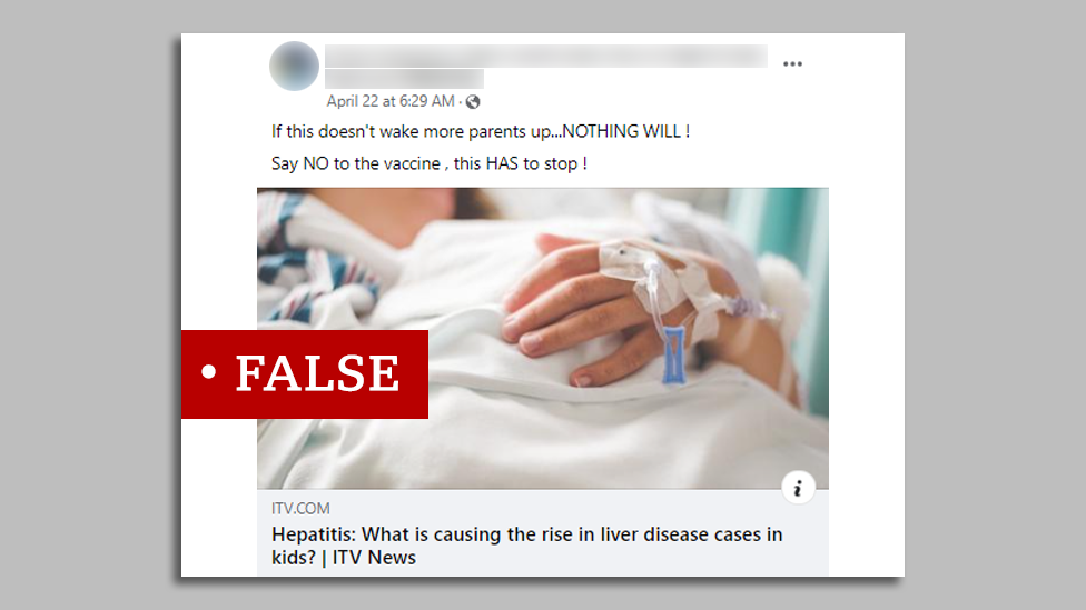 Post em inglês no Facebook rotulado como falso: "Se isso não acordar mais pais... nada o fará! Diga não à vacina, isso tem que parar!"