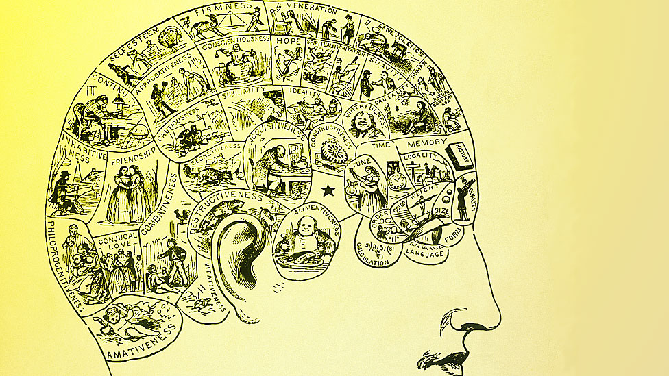 Cabeza con divisiones y dibujos mostrando las áreas del cerebro.