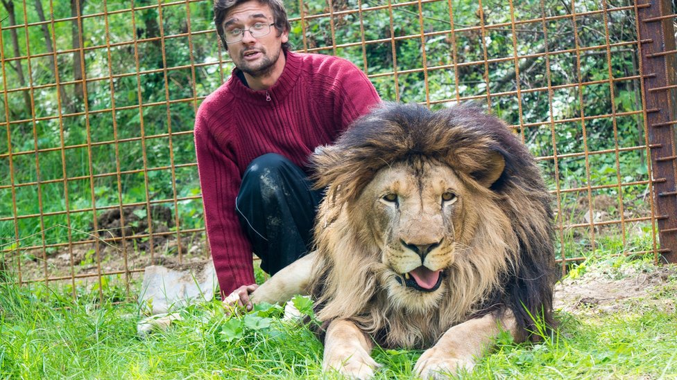 Prasek había comprado al león en 2016 y le construyó una jaula en su casa.