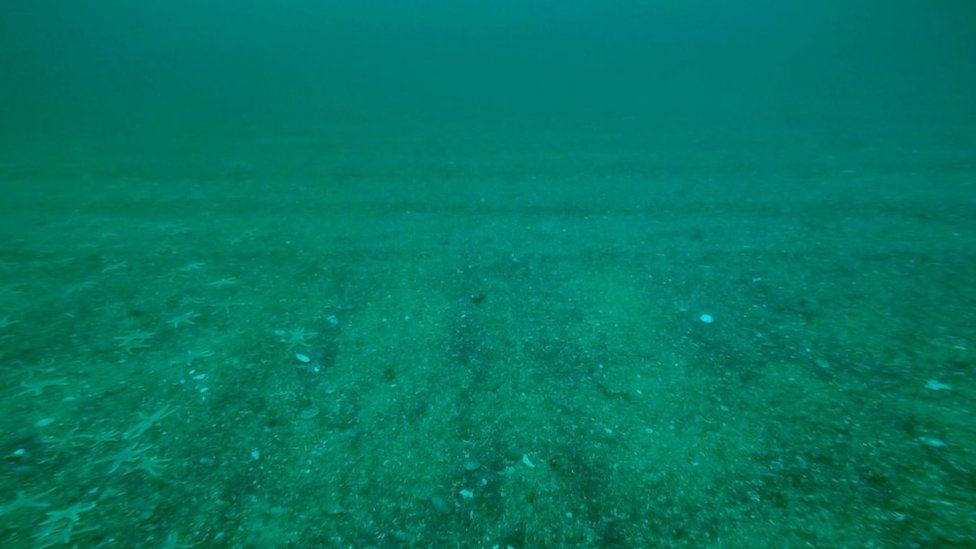Сцена предполагаемой выемки морских гребешков возле Гэрлоха