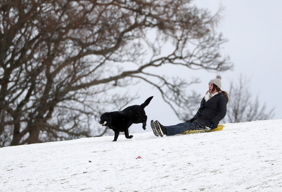 A person sledging in a snow covered Callender Park in Falkirk. Picture date: Monday February 8, 2021