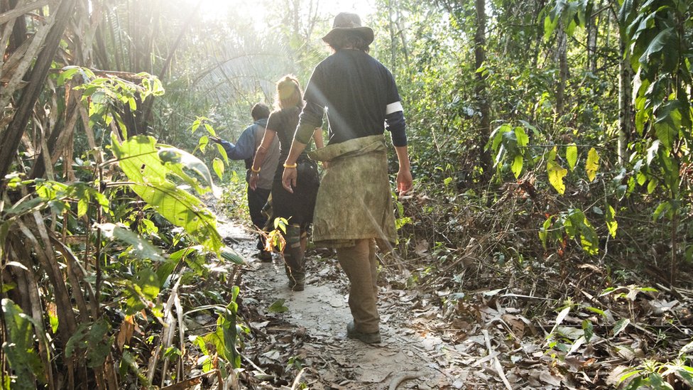 Un grupo de personas camina por la Amazonía.