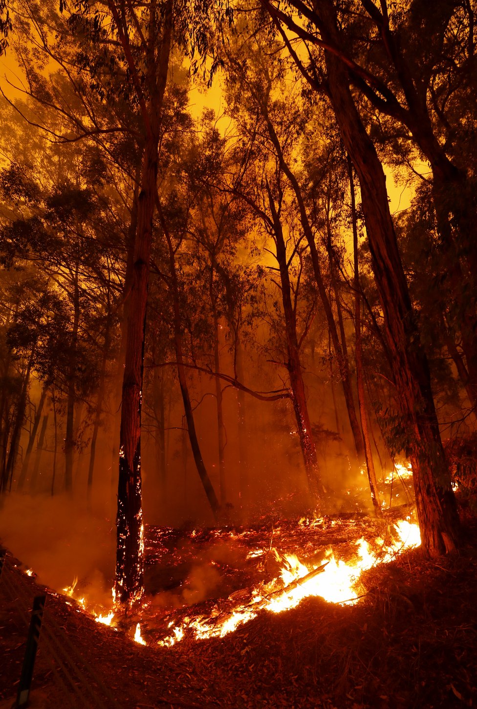 Горят лесные пожары