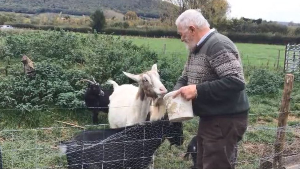 Pet goat 'killed for satanic ritual', owner says - BBC News