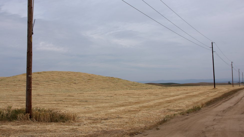 njiva