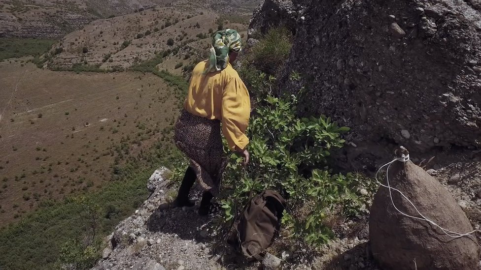 Хатидзе приближается к улью на скале