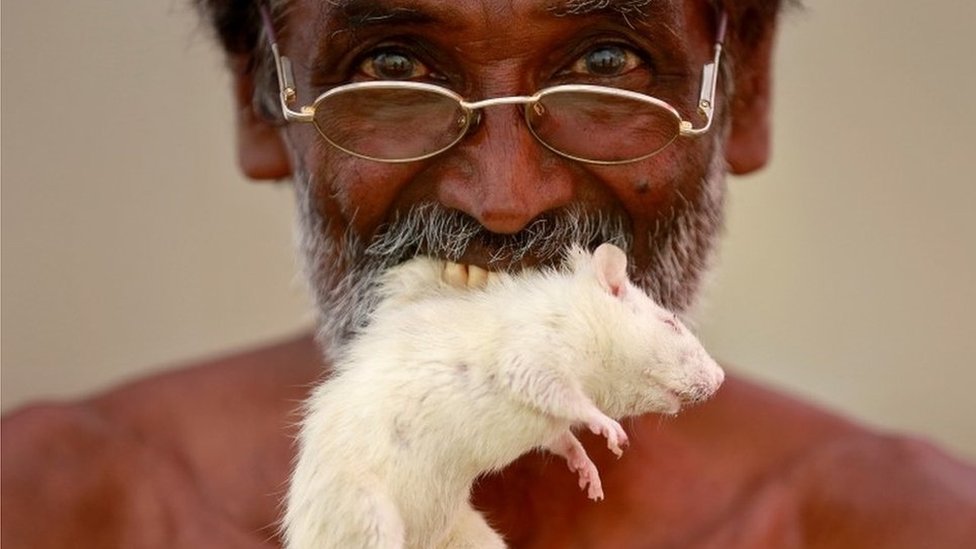 Why are farmers in India protesting with mice and human skulls? - BBC News