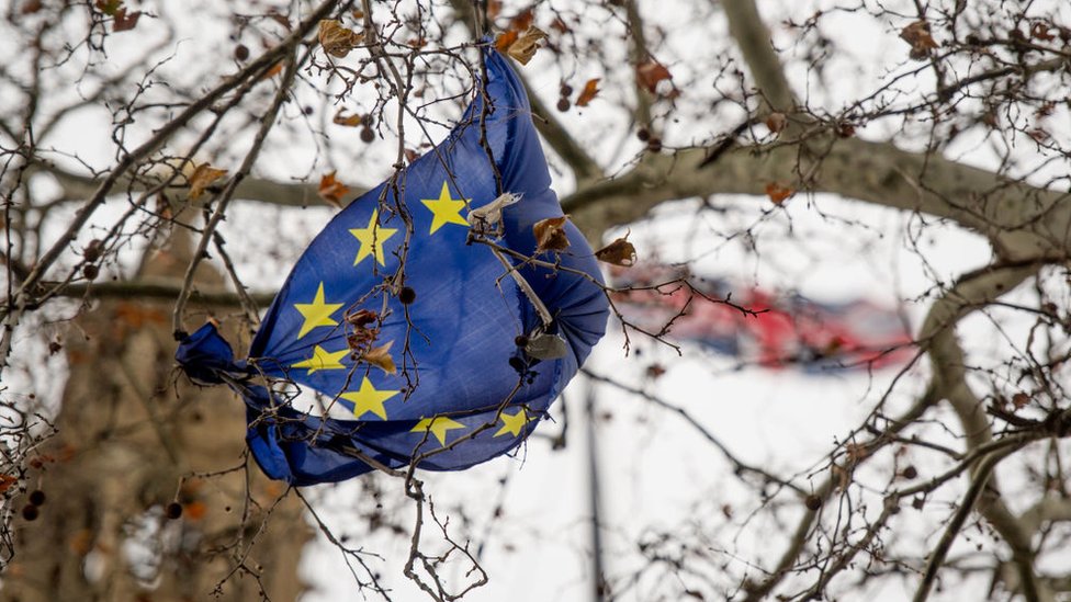 Bandera de la UE enroscada en las ramas de un árbol.