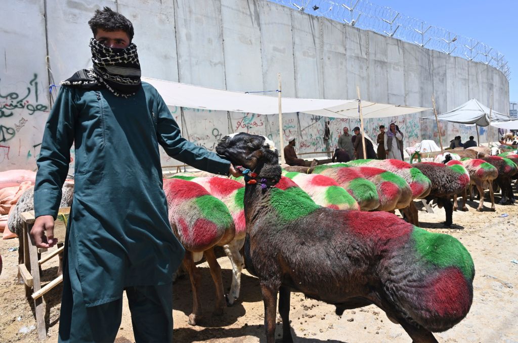 Pastor de ovejas en Afganistán.